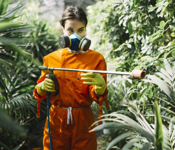 service package image